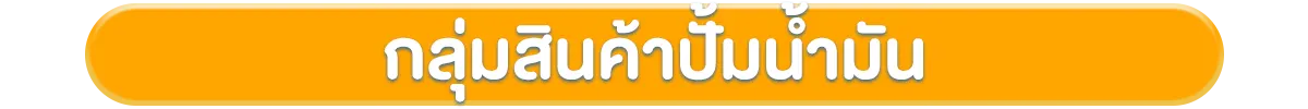 โฟกัสกลุ่มลูกค้า-กลุ่มโปรไฟล์-กลุ่มสินค้าปั้มน้ำมัน
