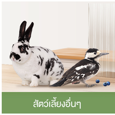 สัตว์เลี้ยงอื่นๆ