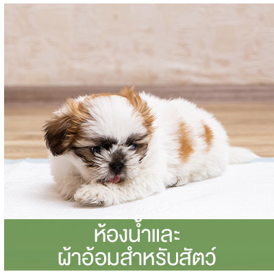 ห้องน้ำและผ้าอ้อมสำหรับสัตว์