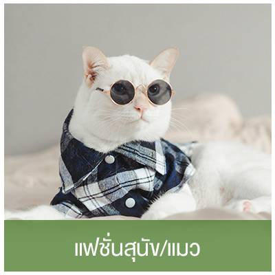 แฟชั่นสุนัข-แมว