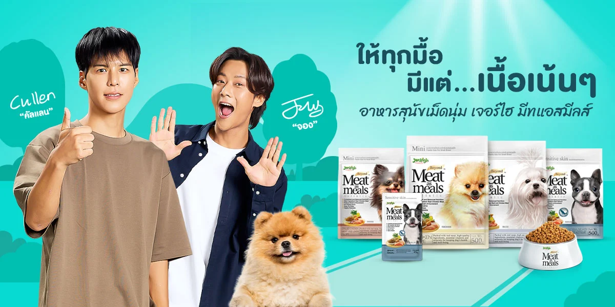 SIS_interpet_july24_hero