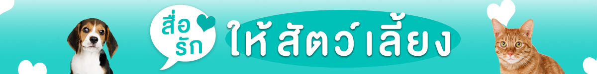 SIS_Interpet_April24