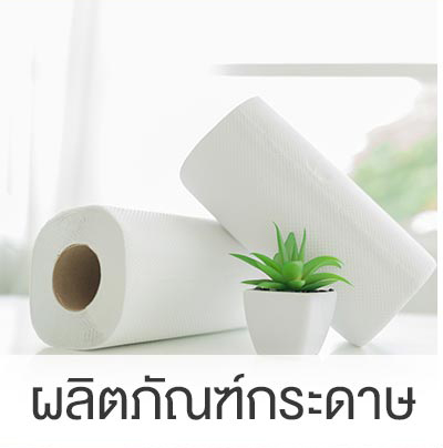 ผลิตภัณฑ์กระดาษ