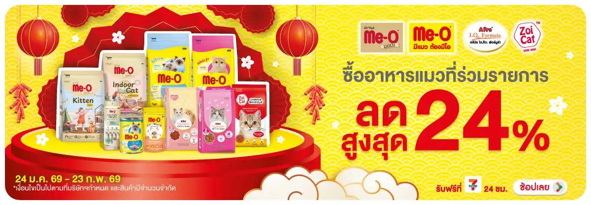 Hero-PETS- มีโอมีโอ โกลด์ซอยแคท(325) 24-23.02.26 H12