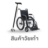 ICON-CAT-สินค้าวัยเก๋า