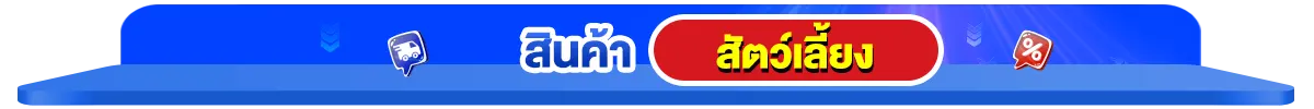 สินค้าขายดี