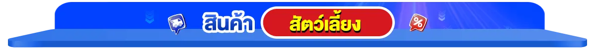 สินค้าขายดี