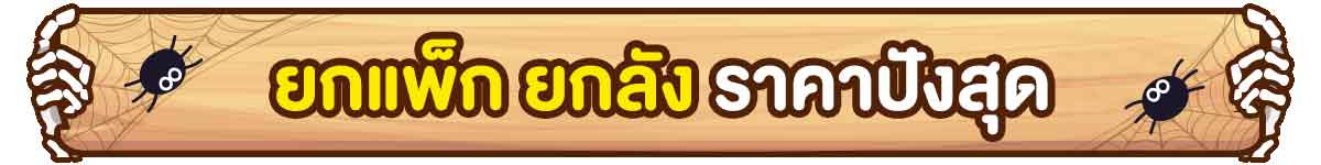 PAYDAY (24-31 Oct 25)