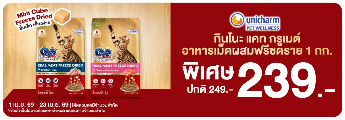 Hero-PETS- กินโนะ แคท กรูเมต์ อ(898) 01-23.04.26 H12