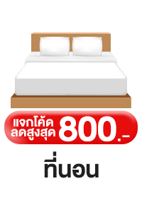 ICON-CAT-ที่นอน