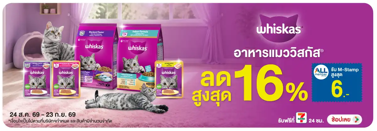 Hero-PETS- อาหารแมว แบรนด์ วิสก(2356) 24-23.09.26 H12