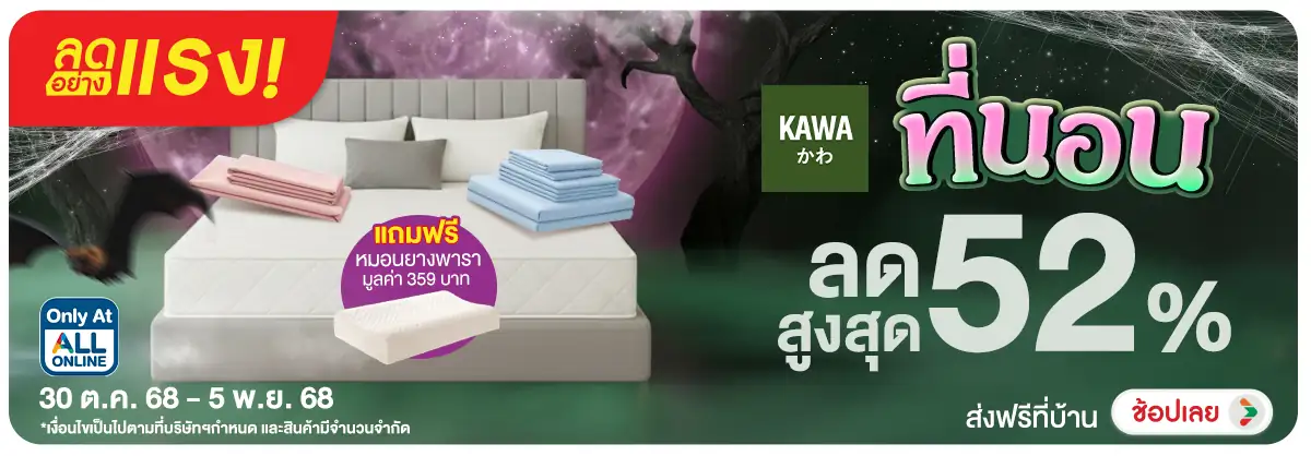 ลดอย่างแรง-NON-ลดอย่างแรง ที่นอน โป 3005.11.25 H12