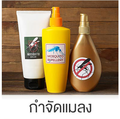 กำจัดแมลง