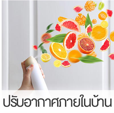 ปรับอากาศภายในบ้าน