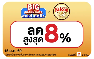 Beside-Big Brand Sale นกเหยี่ยว