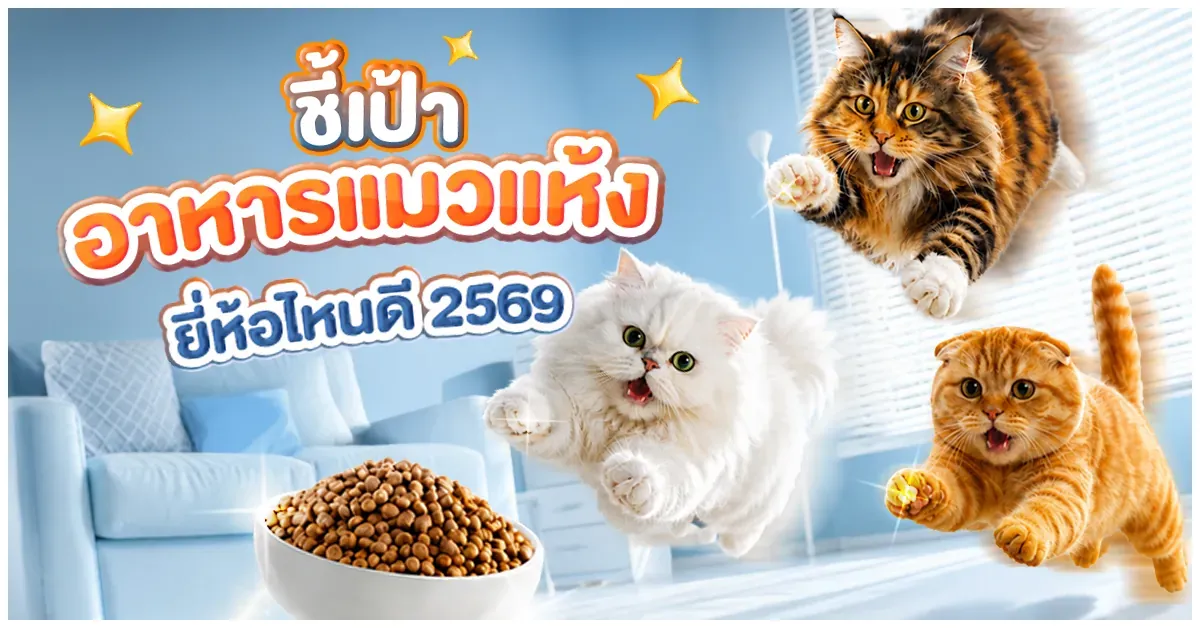 Blog-ชี้เป้า! อาหารแมวแห้งยี่ห้อไหนดี 2569