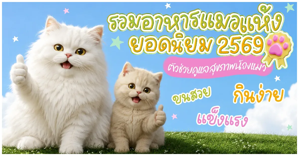 Blog-รวมอาหารแมวแห้งยอดนิยม 2569