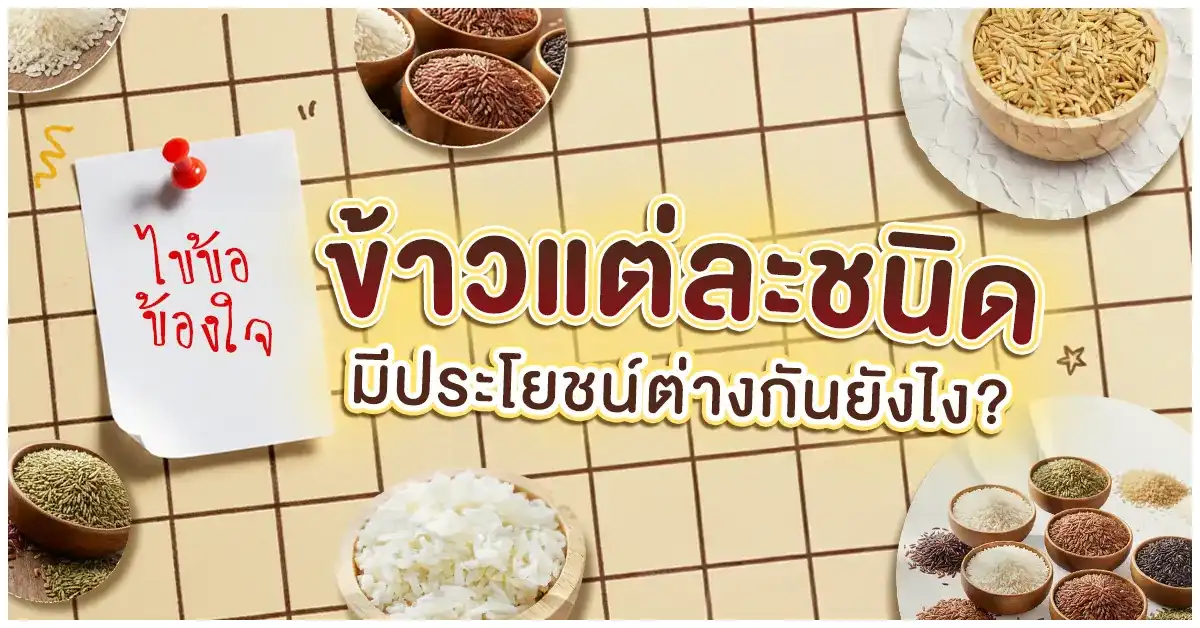 Blog-ไขข้อข้องใจ ข้าวแต่ละชนิด