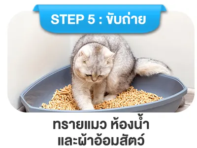 ทรายแมว ห้องน้ำและผ้าอ้อมสัตว์