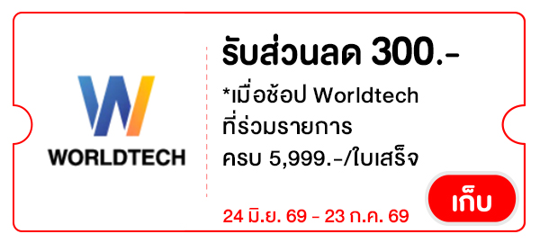 WT300