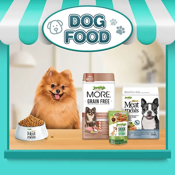 SIS_Interpet_April24