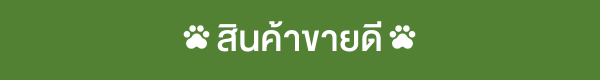 สินค้าขายดี