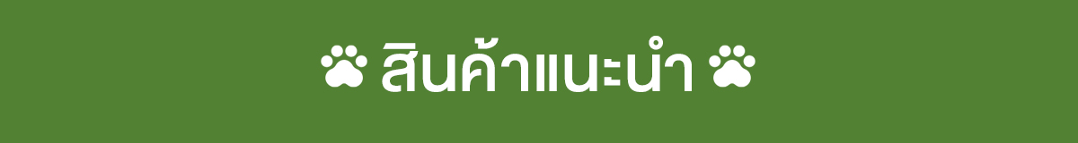 สินค้าแนะนำ