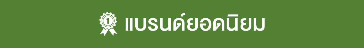 แบรนด์ยอดนิยม