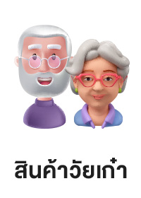 ICON-CAT-สินค้าวัยเก๋า