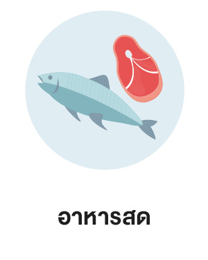 สินค้าขายดี