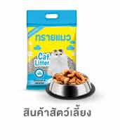 สัตว์เลี้ยง