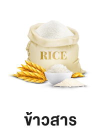 ICON-CAT-ข้าวสาร