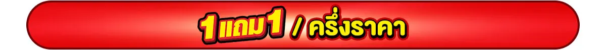 สินค้าแถมจัดหนัก / ครึ่งราคาโดนใจ