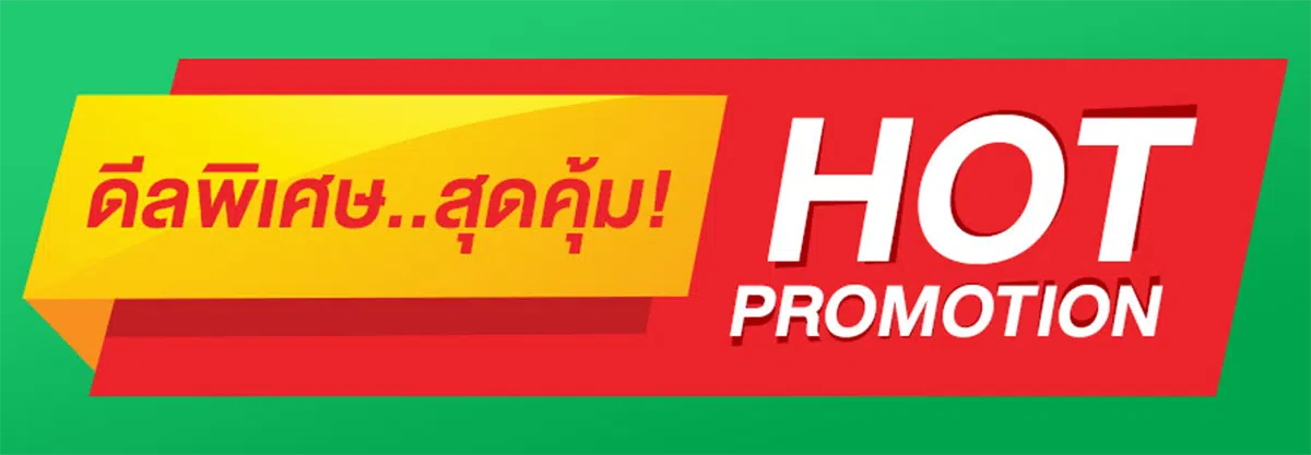 สินค้าโปรโมชั่น