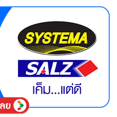 SIS-B-Salz