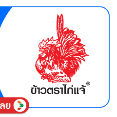 SIS-BD1-ข้าวไก่แจ้