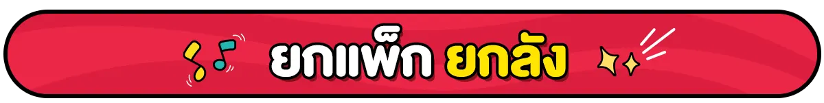 ยกแพ็ก ยกลัง ราคาสุดปัง