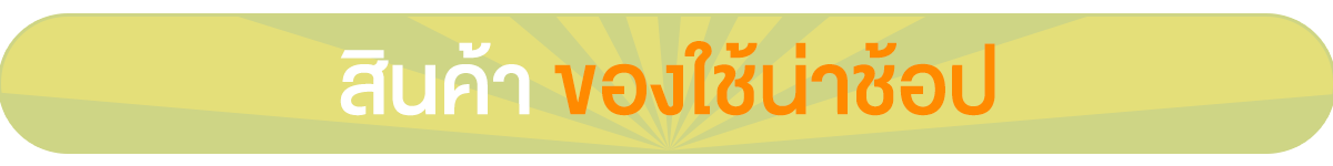 สินค้า ของใช้น่าช้อป