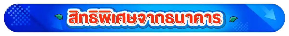 รวมสิทธิ์พิเศษ Partner (1 - 31 Aug 26)