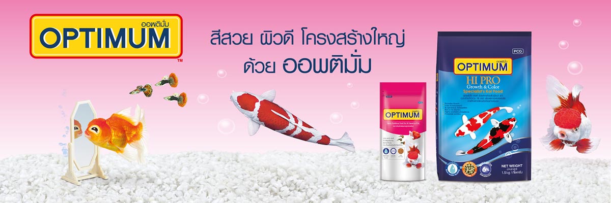 Sub-Category-Banner-No10