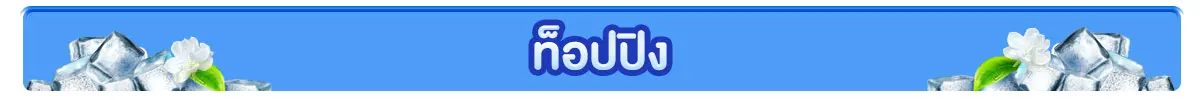 ท็อปปิง