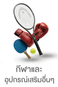 กีฬาและอุปกรณ์เสริมอื่นๆ