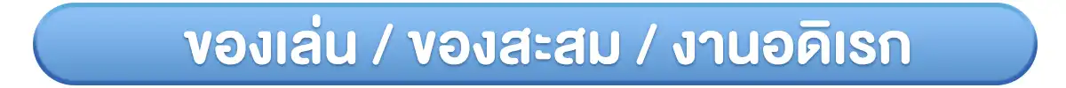 ของเล่น ของสะสม งานอดิเรก